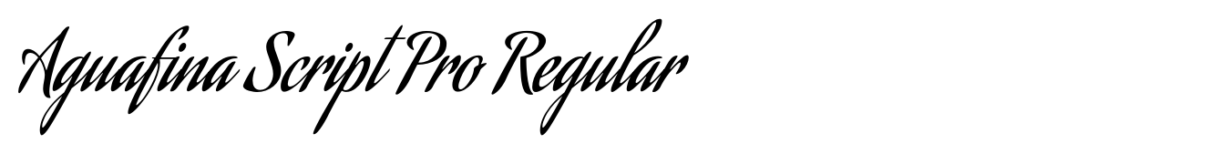 Aguafina Script Pro Regular image